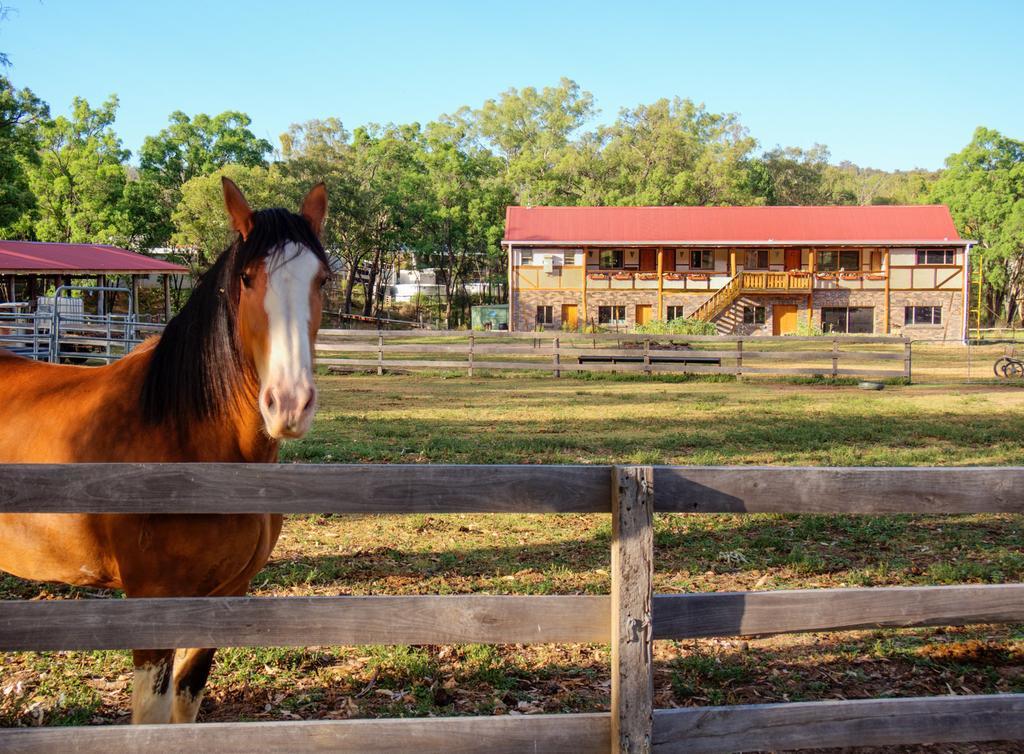Pilliga Pottery Creative Farmstay Coonabarabran Chambre photo