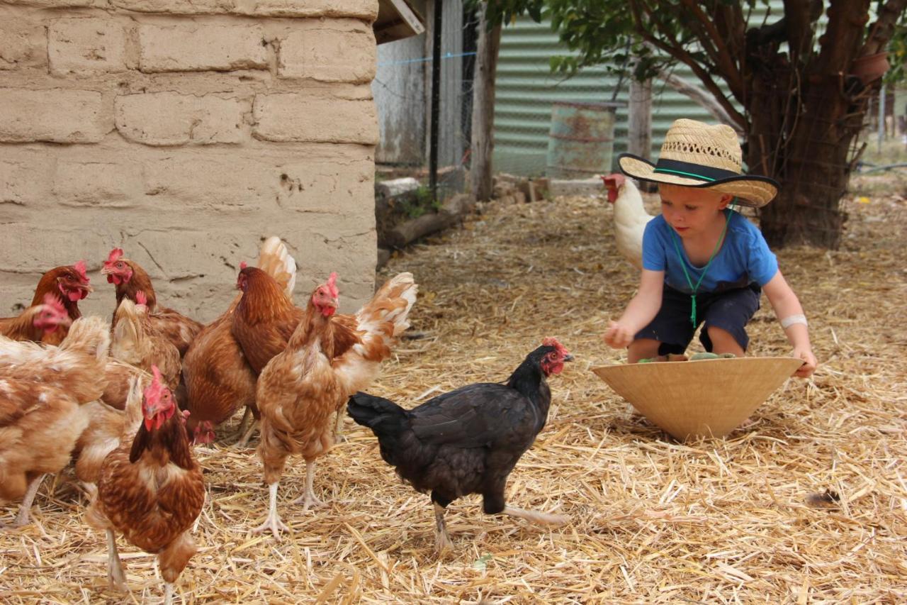 Pilliga Pottery Creative Farmstay Coonabarabran Extérieur photo